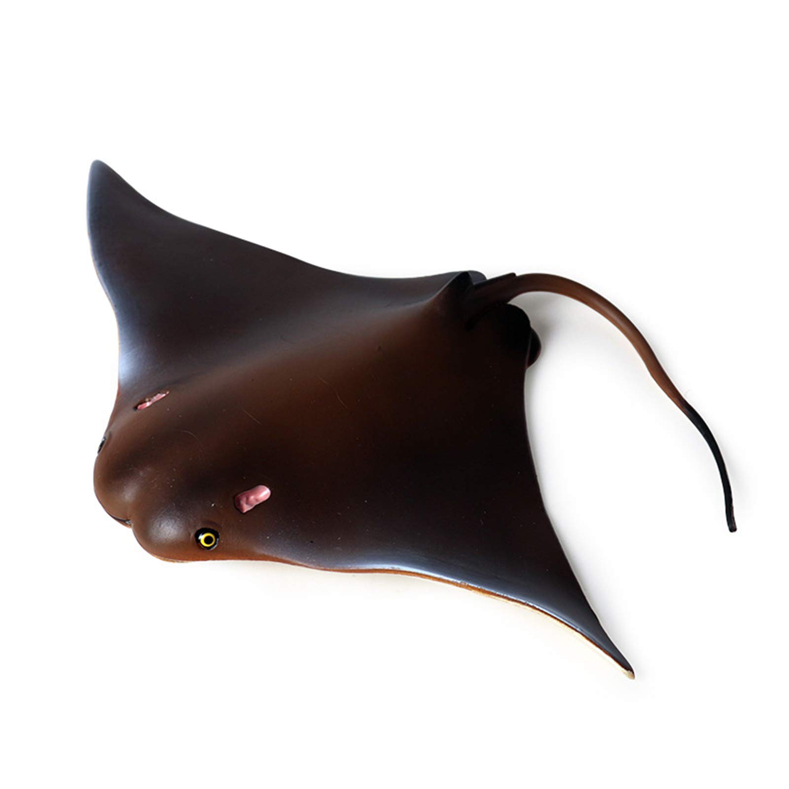 Amazon | Eden Toys イトマキエイ エイ 魚類 動物 プラモデル Amazon | Eden Toys イトマキエイ エイ 魚類 動物 プラモデル